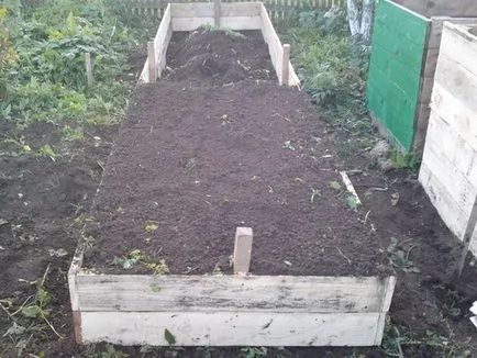 Când să planteze castraveți în teren deschis Când să planteze castraveți în teren deschis