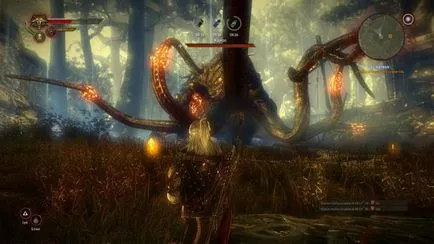 Cum de a câștiga în Witcher