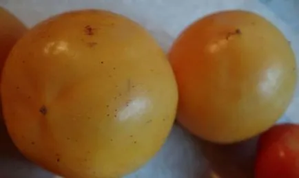 Varietatea de tomate pentru seră