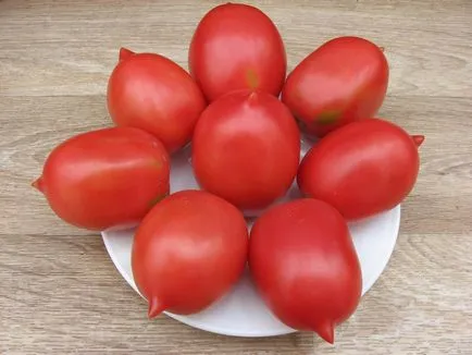 Varietatea de tomate pentru seră