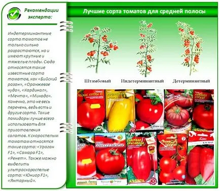 Varietatea de tomate pentru seră