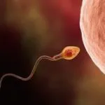 Prima dată cu sângele care este Prima dată cu sângele care este