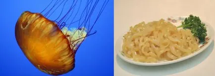 Încearcă ceva Încearcă ceva