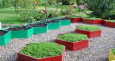 Cultivarea cartofi în saci