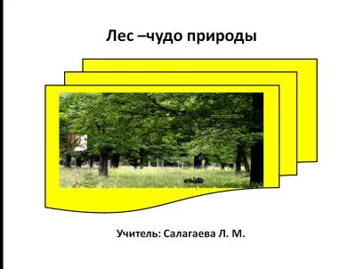 Prezentarea a ceea ce pădure