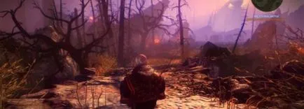 Cum de a câștiga în Witcher