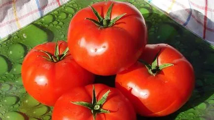 Varietatea de tomate pentru seră