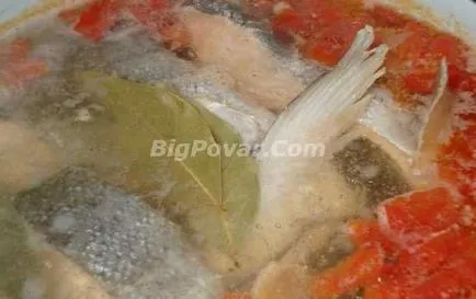 Supa de peste cu rosii