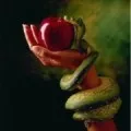 Ce vrei să spui atunci când plânge în somn Ce vrei să spui atunci când plânge în somn
