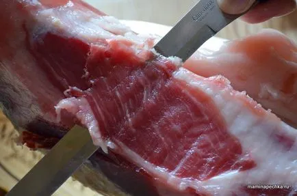 Hamon cum este