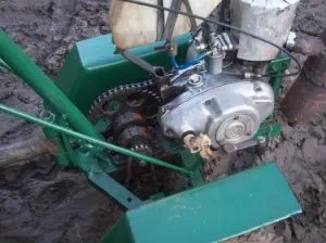 Cățărătoare pentru cultivatori cu mâinile lor Cățărătoare pentru cultivatori cu mâinile lor