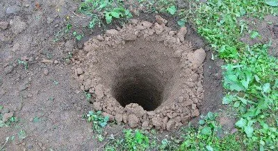 Garduri din foi de metal cu propriile lor mâini
