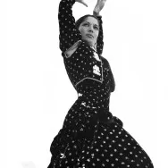 20 de dansatori de flamenco restante