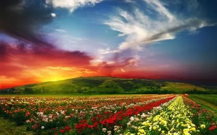 30 Faptele pentru care a promis paradis