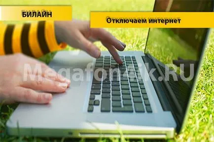 4 metode de a dezactiva Internet de pe Beeline