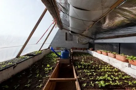 35 sere subterane pentru tot timpul anului în creștere (permacultura) 35 sere subterane pentru cultivare pe tot parcursul anului