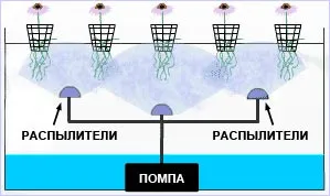 Aeroponics propriile mâini 6 modalități de a crește planta în aer