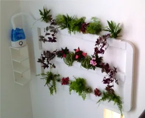 Aeroponics mâinile - 3 moduri de plante care cresc în aer