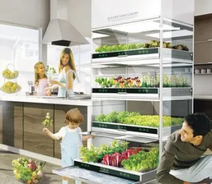 Aeroponics propriile mâini 6 modalități de a crește planta în aer