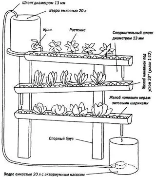beneficii Aeroponics, tehnici, echipamente