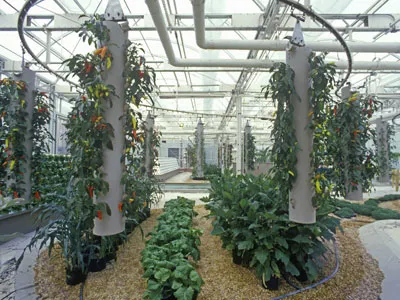 Aeroponics cu mâinile lor, în cazul în care pentru a obține echipamentul și modul de colectare de instalare (mâini) Aeroponics cu mâinile lor, în cazul în care pentru a obține echipamentul și modul de colectare a instalării