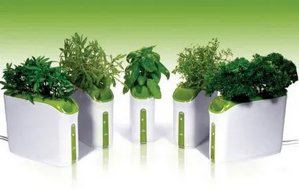 Aeroponics propriile mâini 6 modalități de a crește planta în aer