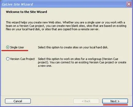 Adobe GoLive cs - site-ul construi