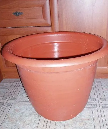Aeroponics cu mâinile - mâinile - Publicații - Articole (lor) Aeroponics cu mâinile - mâini - Publicații - Articole