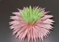 hârtie steliforme