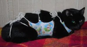 Bandaje sau pături pentru pisici după sterilizare, gata sau reticulat cu mâinile lor