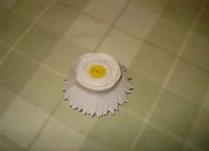 hârtie steliforme