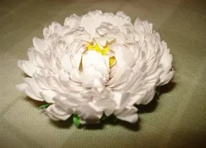 hârtie steliforme