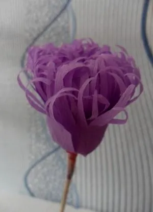 hârtie steliforme