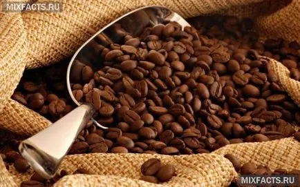 Fiole de corp celulita cofeina împachetări retete