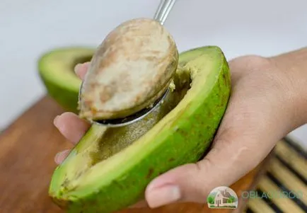 Avocado la domiciliu - secretele de creștere