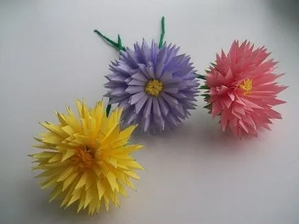 Steliforme de hârtie cu mâinile (Aster) Steliforme de hârtie, cu propriile sale mâini