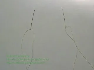 Conservatie pentru schemele de începători și lecții video, incrementale