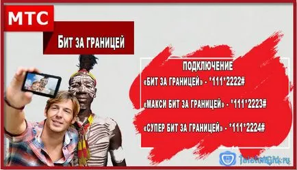 Bit în străinătate - descrierea opțiunii, conectarea și deconectarea