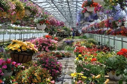 Ideea de afaceri de flori în creștere