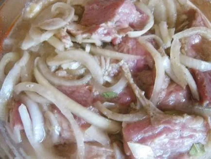 O marinata rapidă pentru gratar carne de porc cât de repede marineaza carnea, rețeta
