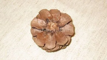 Un buchet de flori de la conuri cu mâinile lor