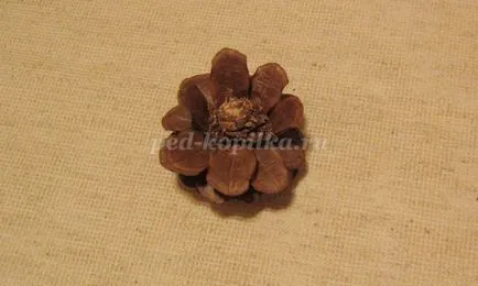 Un buchet de flori de la conuri cu mâinile lor