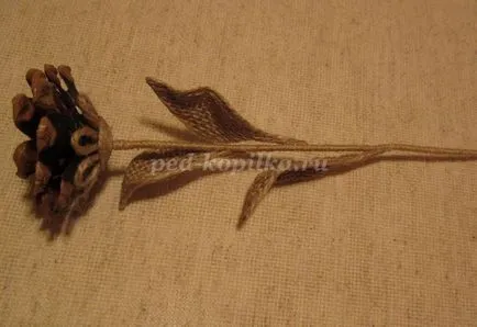 Un buchet de flori de la conuri cu mâinile lor