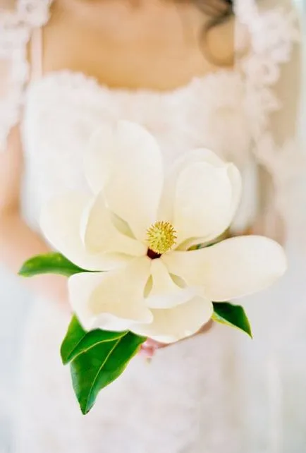 Bridal buchet 88 de imagini cu culori diferite