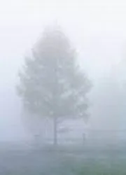 Ceea ce este diferit de ceata de Phobos meteovesti ceață