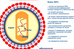 Ceea ce este diferit despre SIDA de la HIV, simptome de infecție și de tratament, prevenire
