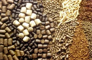 Furajul de găini ouătoare, producția de alimente în condiții de casă (dacă este posibil să se hrănească găinile ouătoare cartofi fierți) Ce să se hrănească găini, producția de alimente în casă
