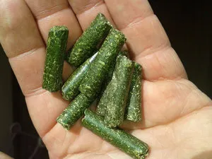Furajul de găini ouătoare, producția de alimente în casă (găinile ouătoare hrană ouătoare la domiciliu) Ce să se hrănească găini, producția de alimente în casă