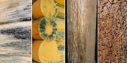 Mai bine pentru a prelucra lemnul înainte de construcție (înainte) Mai bine pentru a prelucra lemnul înainte de construcție