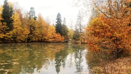 Ce aștept de la întâlnirea cu România pentru a deschide România